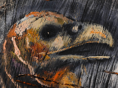 35 Condor, oil on wood, 45 x 59 cm 